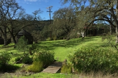 Bridge from Garden