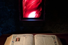 Chapel Window and Altar