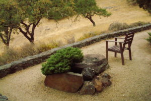 Bench near Refectory